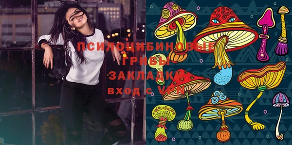 прущие грибы Шадринск