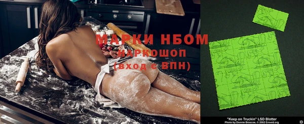 ГАЛЛЮЦИНОГЕННЫЕ ГРИБЫ Белокуриха