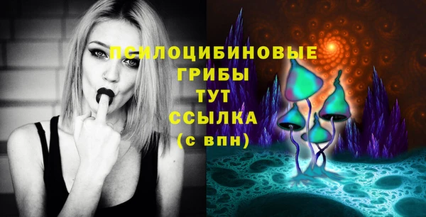 ГАЛЛЮЦИНОГЕННЫЕ ГРИБЫ Белокуриха