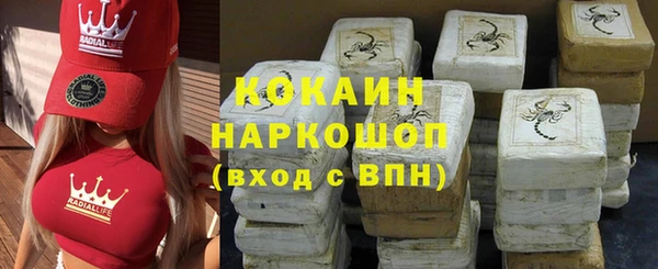 ГАЛЛЮЦИНОГЕННЫЕ ГРИБЫ Белокуриха